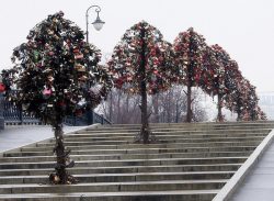 Luzhkov Bridge