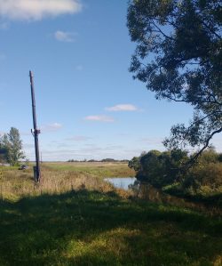 View from the dacha