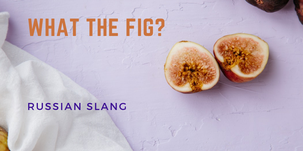 The Best of Russian Slang: What the Fig?