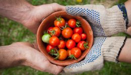 Foodsharing in Russia