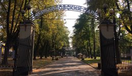 Enjoy a full day outdoors in the beautiful Izmaylovsky Park