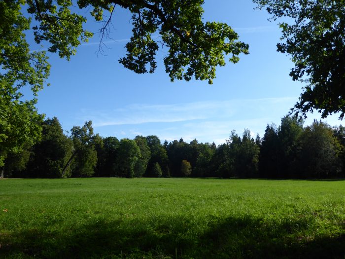 A clearing in Verkhnii Gardens, where we had a picnic