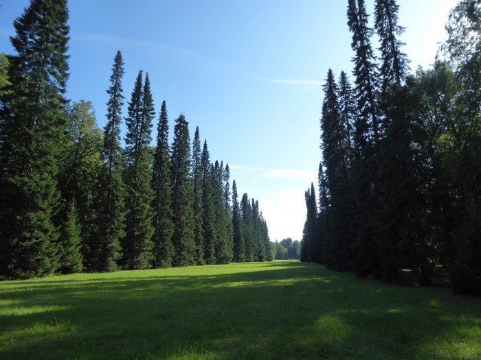 The meadow where the 530m toboggan slide used to be