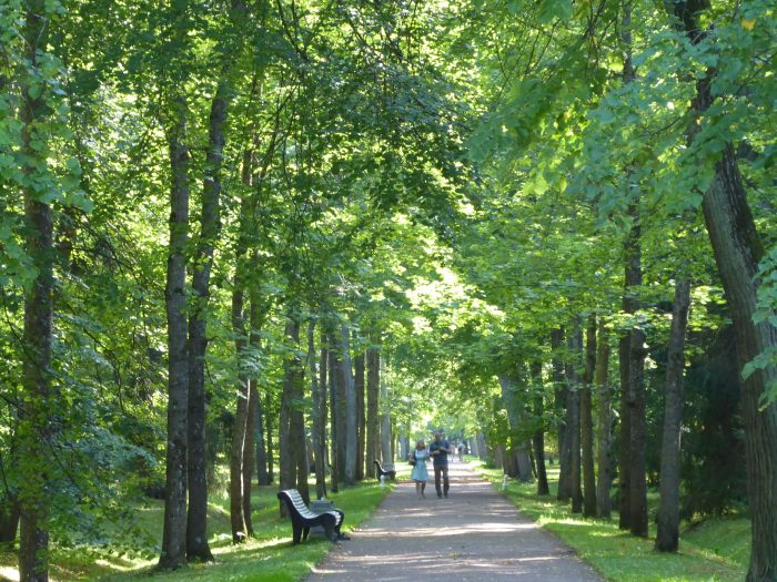 One of the tree-lined avenues