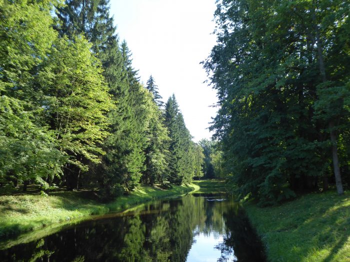 A lake in Verkhnii Garden