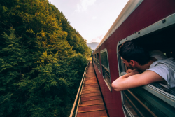 Train and nature